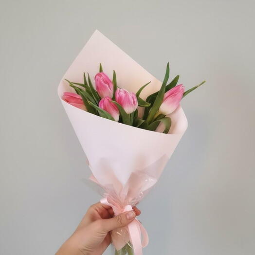 Pink Tulip Affection