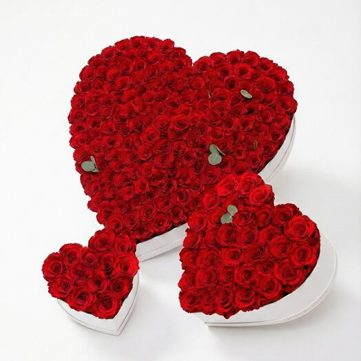Set de caja de rosas rojas en forma de corazón– Especial de San Valentín