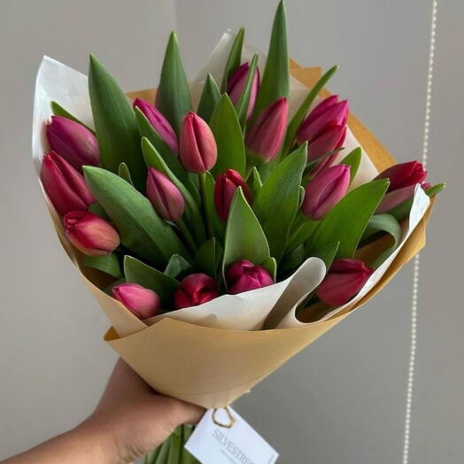 Big dark/red Tulip(25pic) premium class