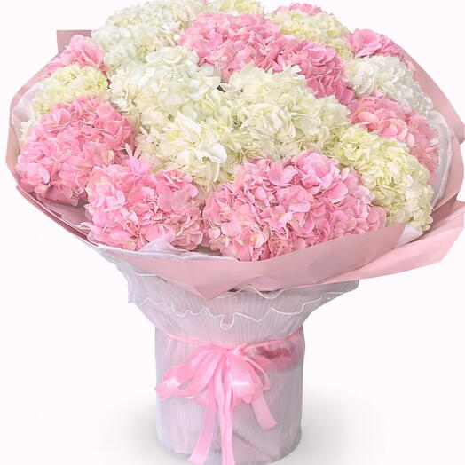 Hortensias géants luxueux roses et blancs