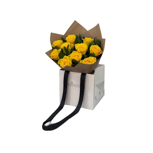 Bella 10 pcs - Brown, White, Black, Gray wrapping available(add to note)