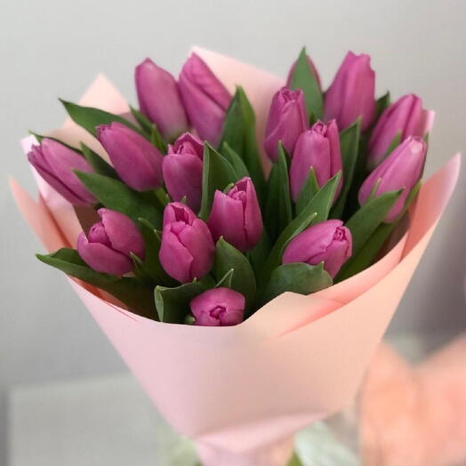 Букет из 15 фиолетовых тюльпанов