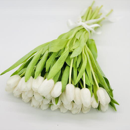 35 white tulips