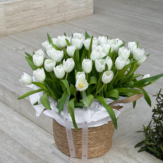 Basket of 51 tulips