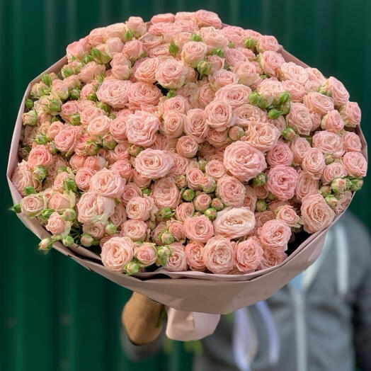 Ramo de 301 rosas rosa bombásticas