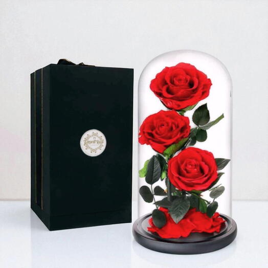 Red infinity roses in a glass dome - 3 Roses