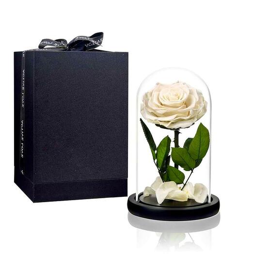 Белое навсегда