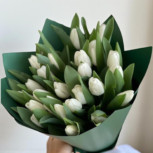 Timeless Purity – 25 White Tulips