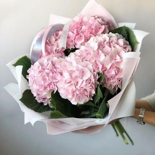 5 Pink  Hydrangeas Bouquet