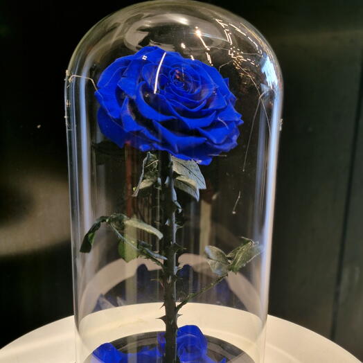 СТЕКЛЯННЫЙ КУПОЛ- Eternal Roses сапфировый - БОЛЬШОЙ