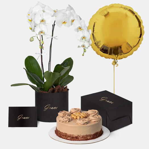 Orchids in Box with Nutella cake Bundle