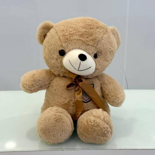 Cuddle me Teddy 40cm