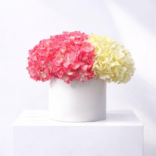 Botanica Hortensia WP