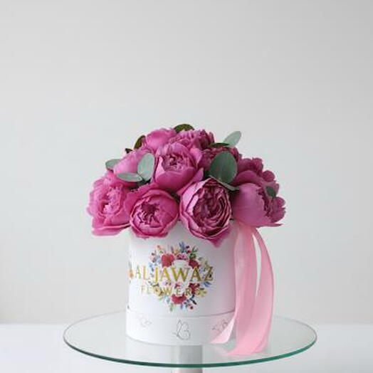 Пион Роуз - Мини-бокс - Джульетта Церес