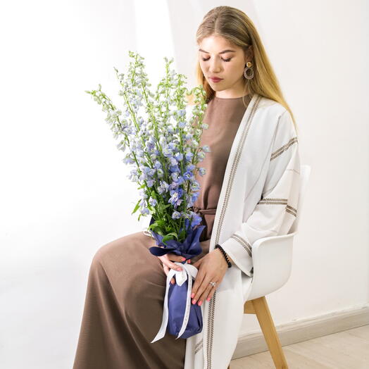 8 pcs Premium Dolphinium Bouquet