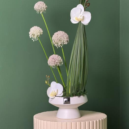 Городской дзен