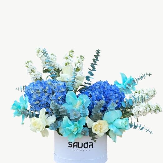 Гармония лазурного неба