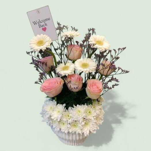 Сладкое возвращение