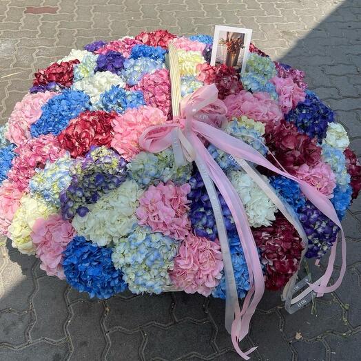 Hydrangea Basket
