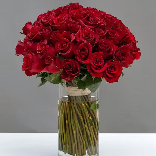51 Red rose in vase