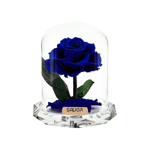 Infinity Crystal Mini - Royal Blue