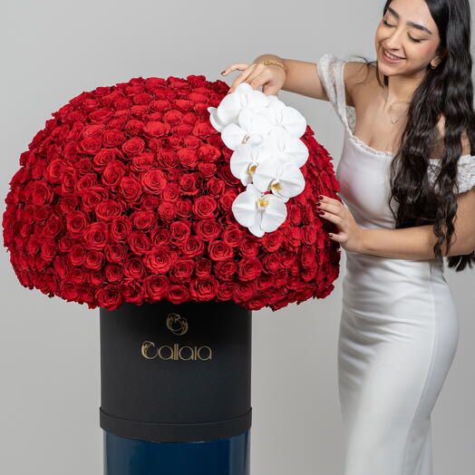 Corona Carmesí con Phalaenopsis