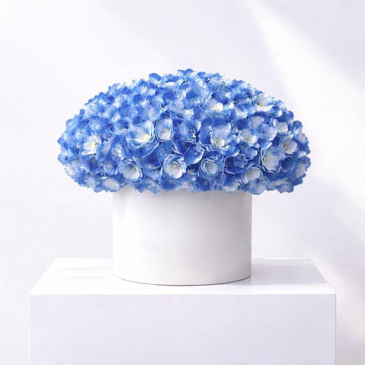 Botanica Hortensia Bleu