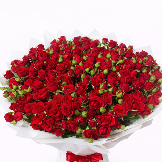 Большой букет из 100 красных мини-роз