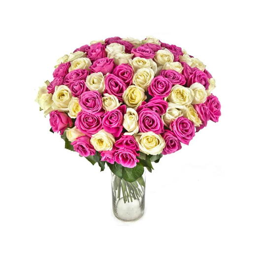 Purple and white rose in a vase