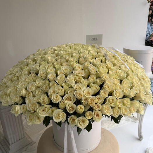 Flowers bouquet with 535 white roses Athena New