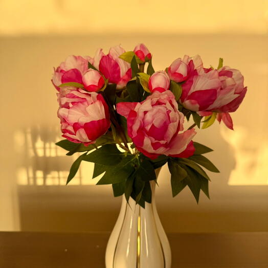 جمعية الحرير