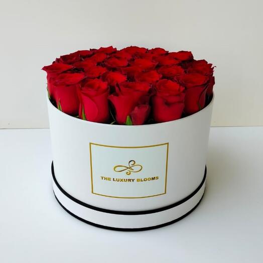 Red Roses in Large White Box