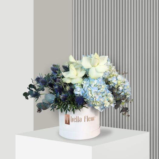 Serenity Bella Box- Medium