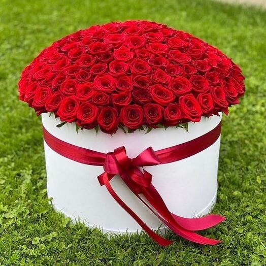 151 Red Roses In a White Box-1270
