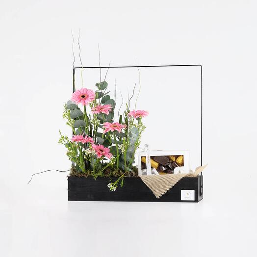 Chocolate Blooms - Gerbera Flower stand