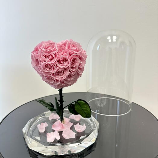 Heart-Shaped Preserved Roses – Eternal Love Flower Gift | Long-Lasting Roses