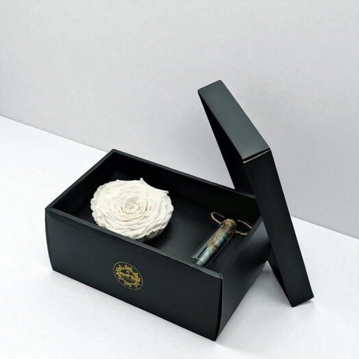 White Infinity Rose in a Signature Box with a Message Bottle
