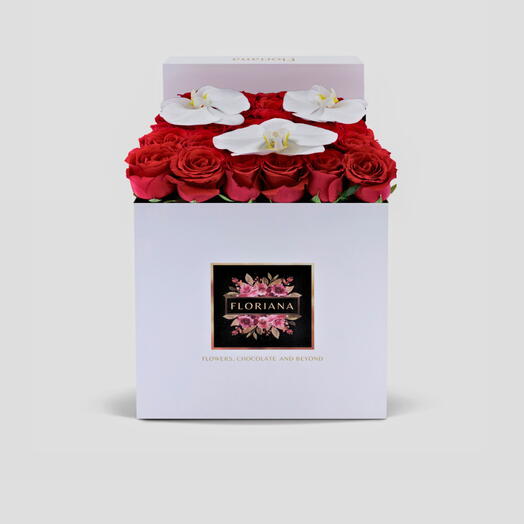 Rose Rouge En Blanc Grand