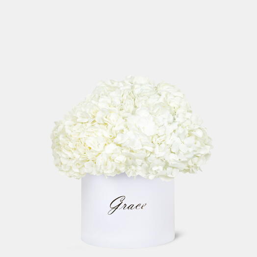 White Hydrangea in large Box