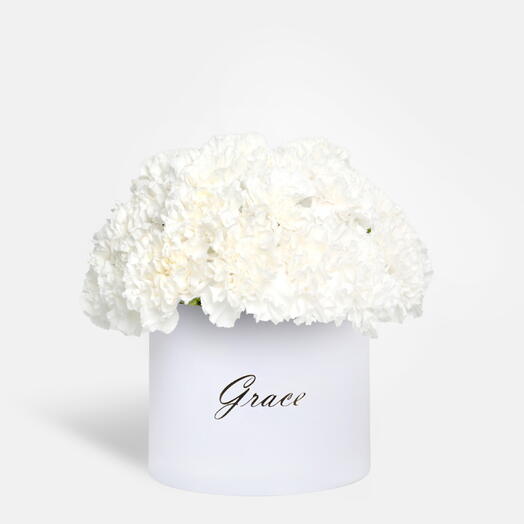 Белая гвоздика в маленькой коробке