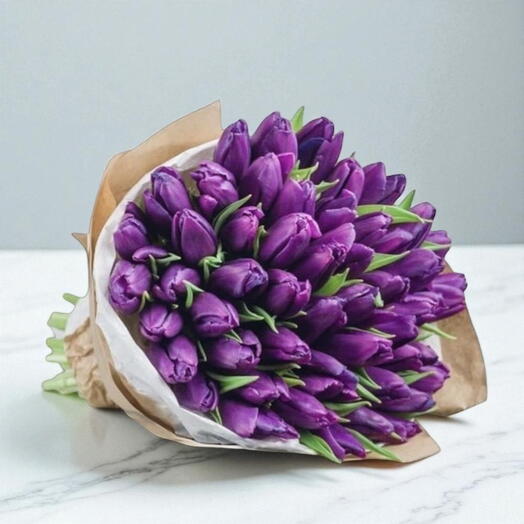 50 violet tulips