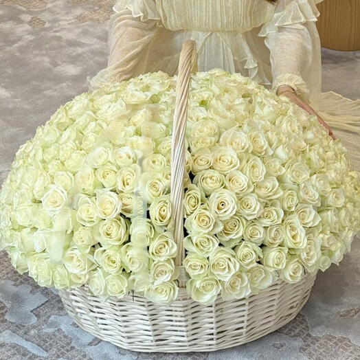 Snow Opulence:  Basket of 300 White Roses