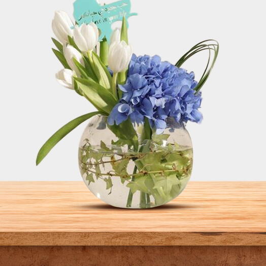 Baby Boy Delight Set