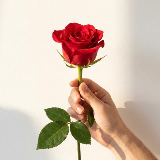 Премиальная красная эквадорская роза – длинный стебель 60 см