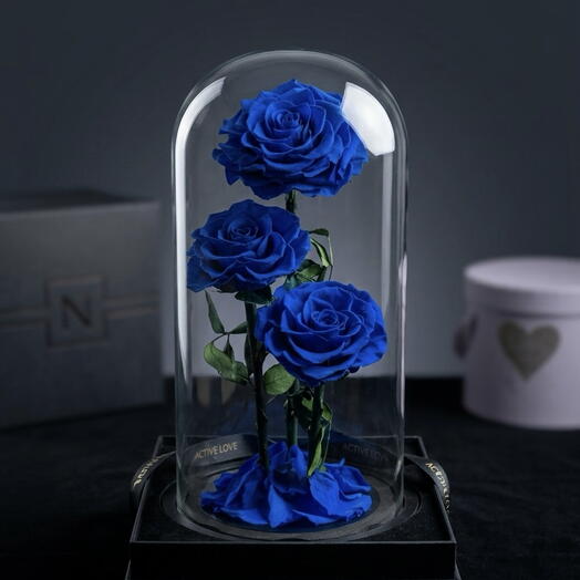 الوردة الزرقاء الأبدية