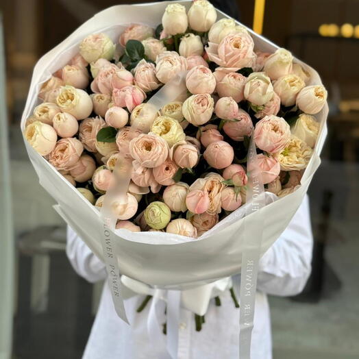 Rose spray darlington