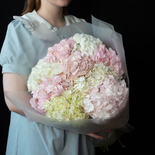 Изысканная Гармония-1872