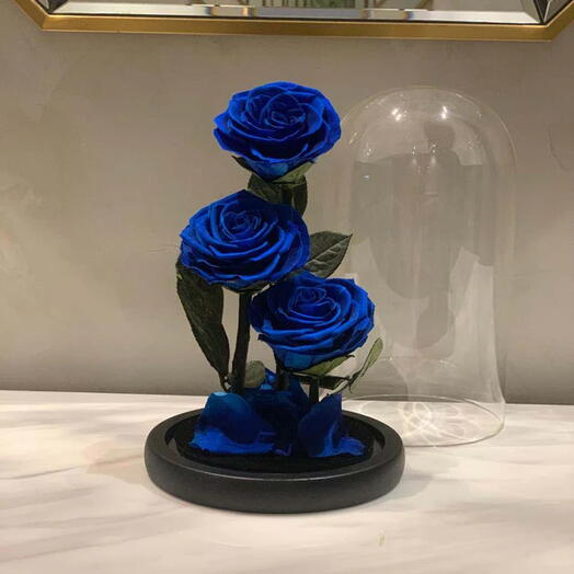 Rosa eterna azul triple