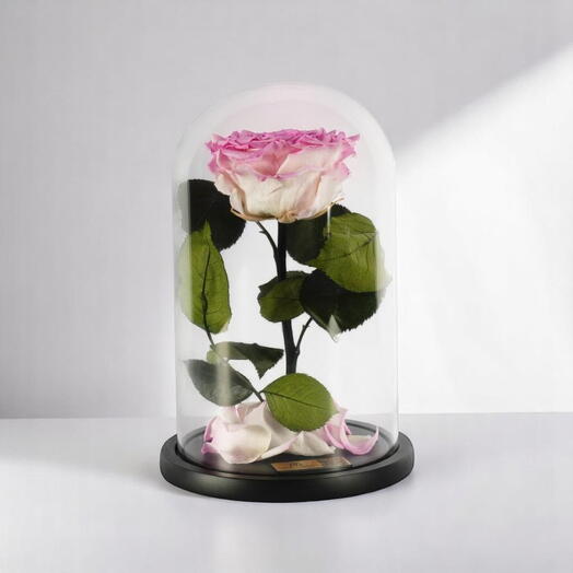 Вечные розы «Сакура» в стеклянном куполе, 1 шт.