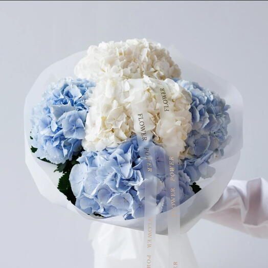 Sky: Xtra Small Size Bouquet of 5 Blue and White Hydrangeas